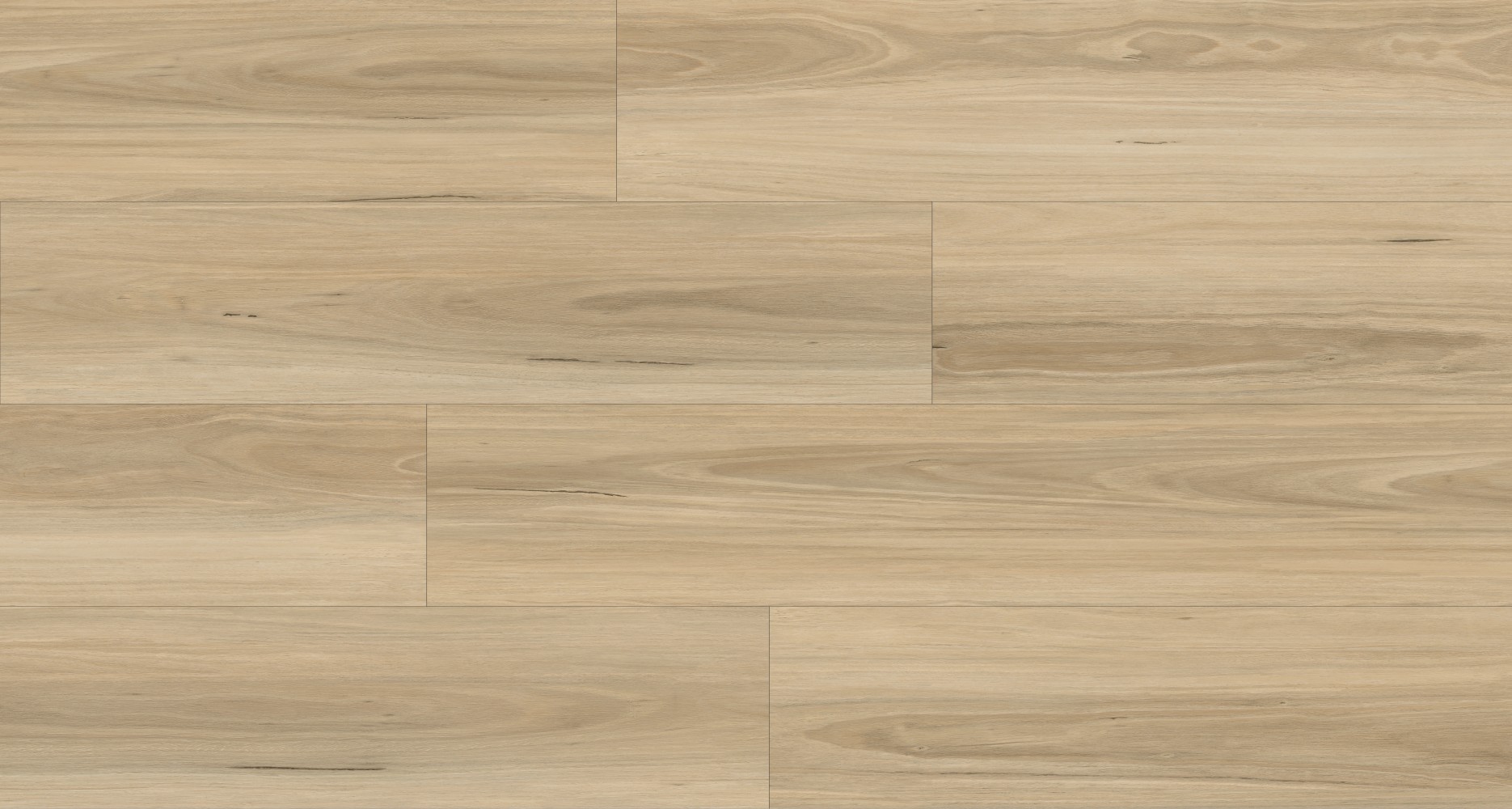 Ornato Blackbutt